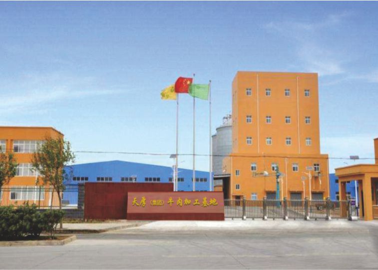 魯西黃牛養(yǎng)殖基地